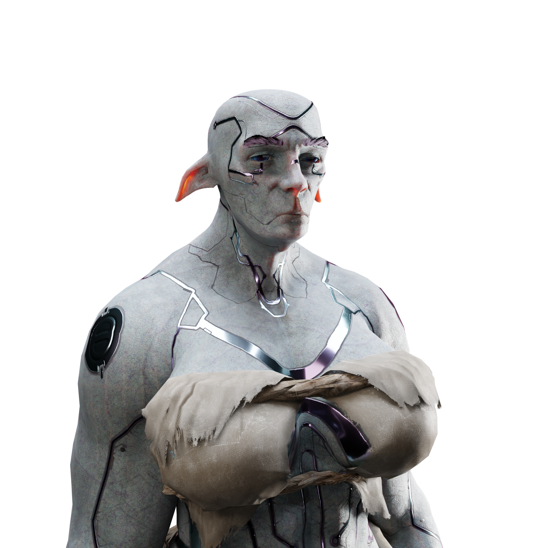 skeleton_image