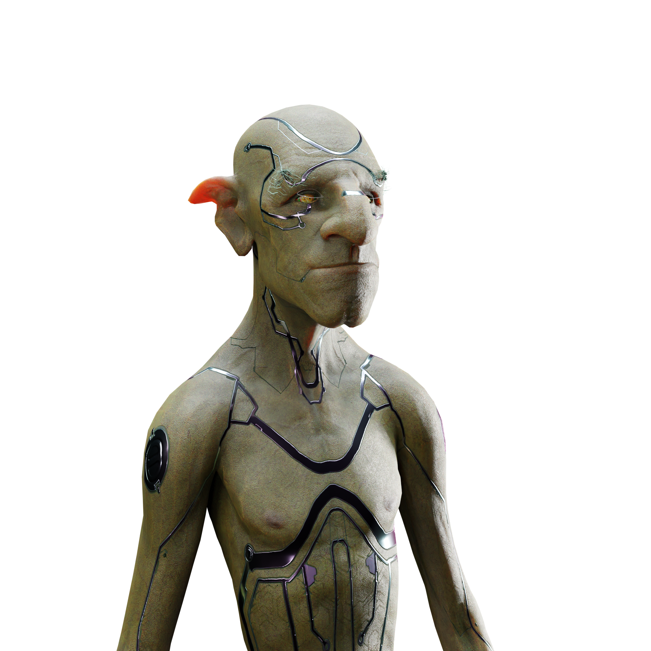 skeleton_image